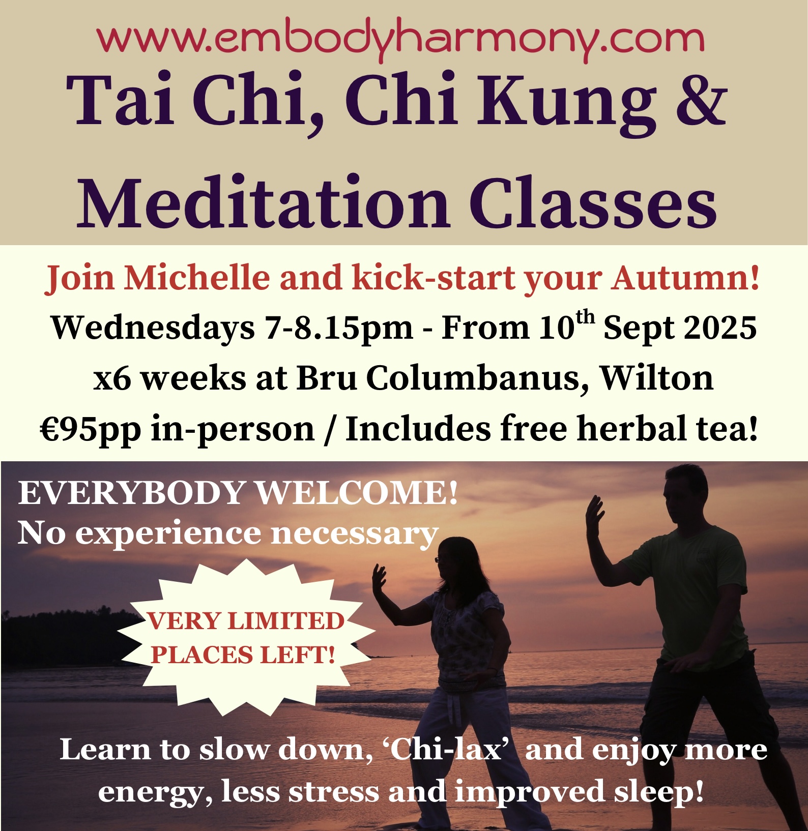Tai Chi & Meditation Classes Autumn 2025 in Cork FULLY BOOKED!