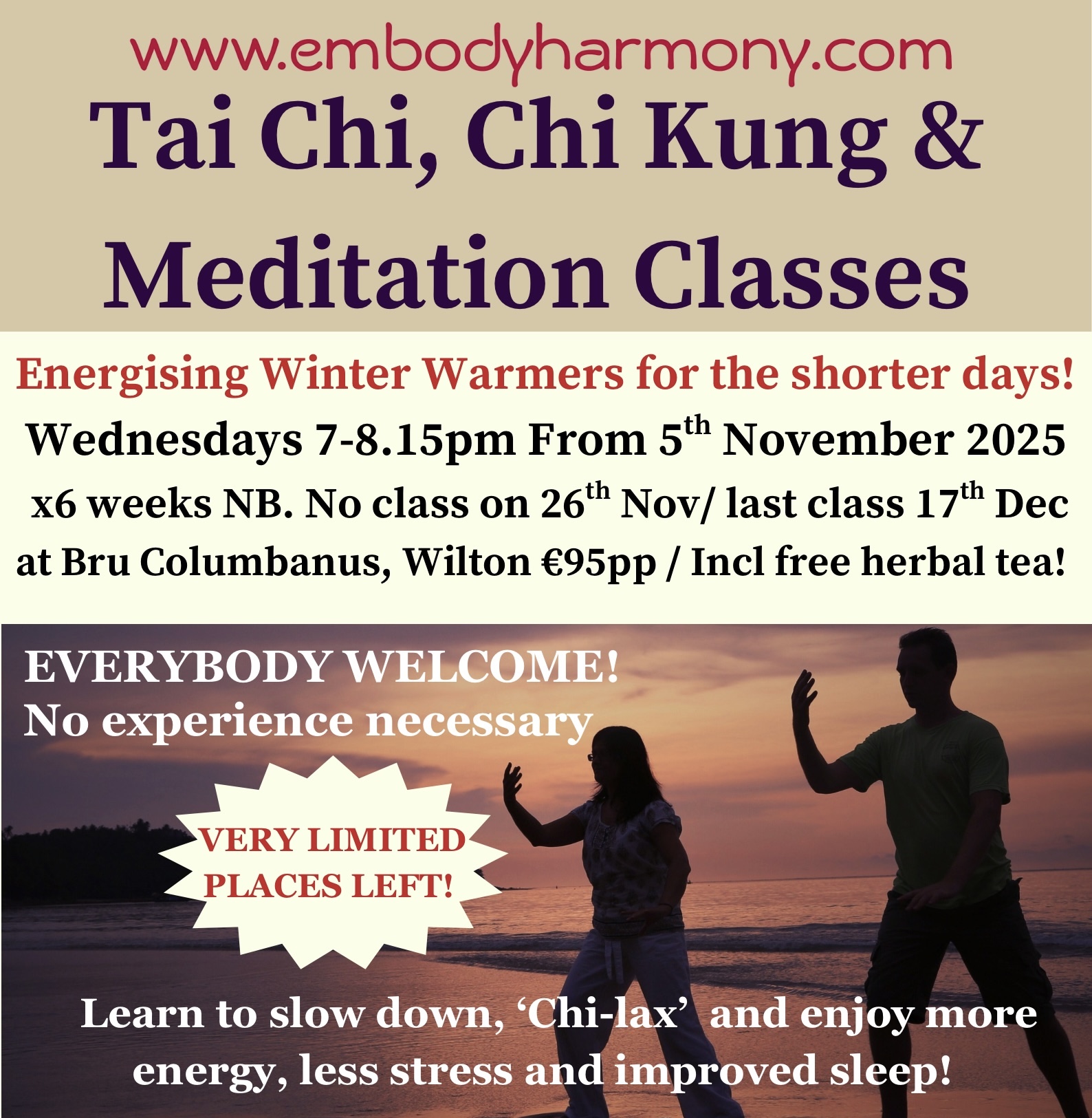 Tai Chi & Meditation Classes Winter 2025 in Cork FULLY BOOKED!