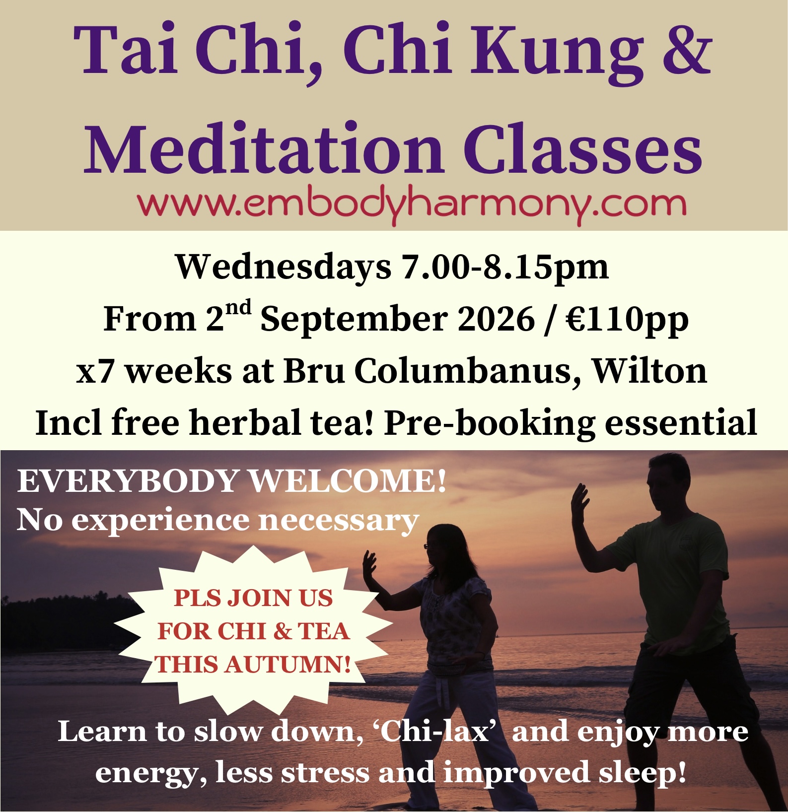 Tai Chi & Meditation Classes Autumn 2026 in Cork!