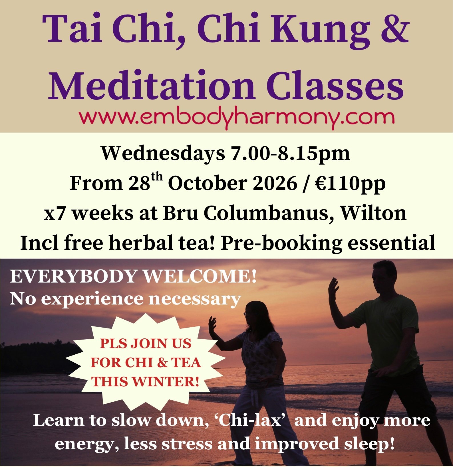 Tai Chi & Meditation Classes - Winter 2026 in Cork!